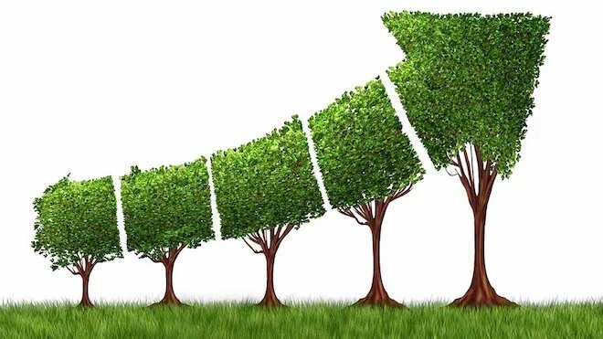 The Rotman Review: Why Sustainable Finance Is Critical To MBAs