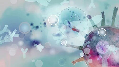 To overcome vaccine hesitancy, governments need to show citizens what's in it for them